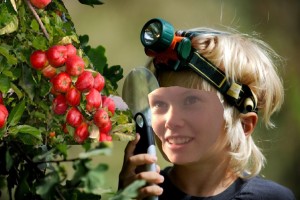 Dette er meg når jeg forsker på epler. Hehe