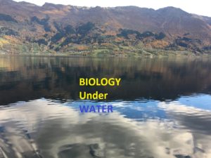 Biology under the water