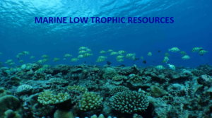 Low trophic resources in marine habitat
